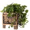 Set of 2 Outdoor Living Butterfly Square Plant Stands, Decorative Flower Planting Pots, Antique Bronze Finish, Garden Patio Decor